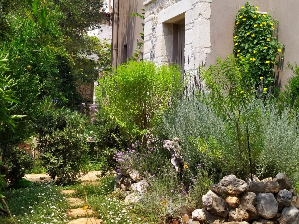 Olive Lemon Biophilic House & Lush Forest Garden فاموس المظهر الخارجي الصورة