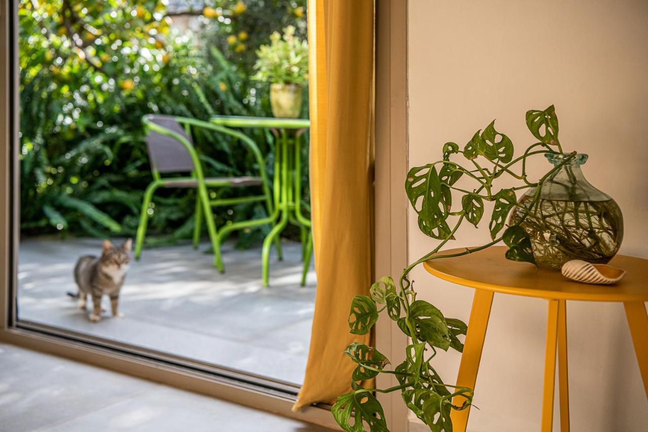 Olive Lemon Biophilic House & Lush Forest Garden فاموس المظهر الخارجي الصورة