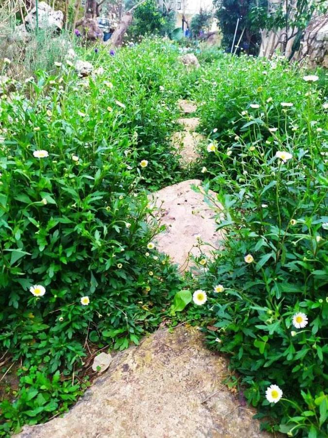Olive Lemon Biophilic House & Lush Forest Garden فاموس المظهر الخارجي الصورة