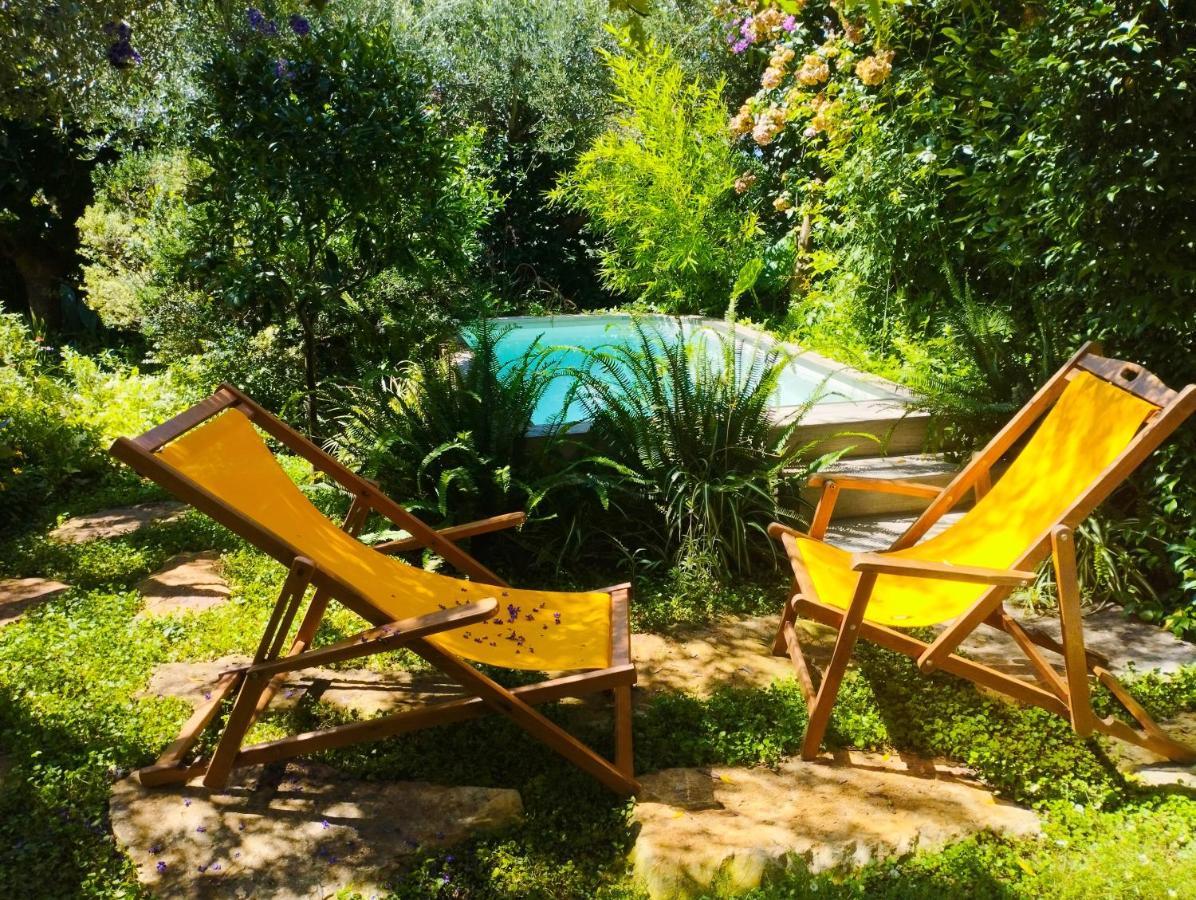 Olive Lemon Biophilic House & Lush Forest Garden فاموس المظهر الخارجي الصورة