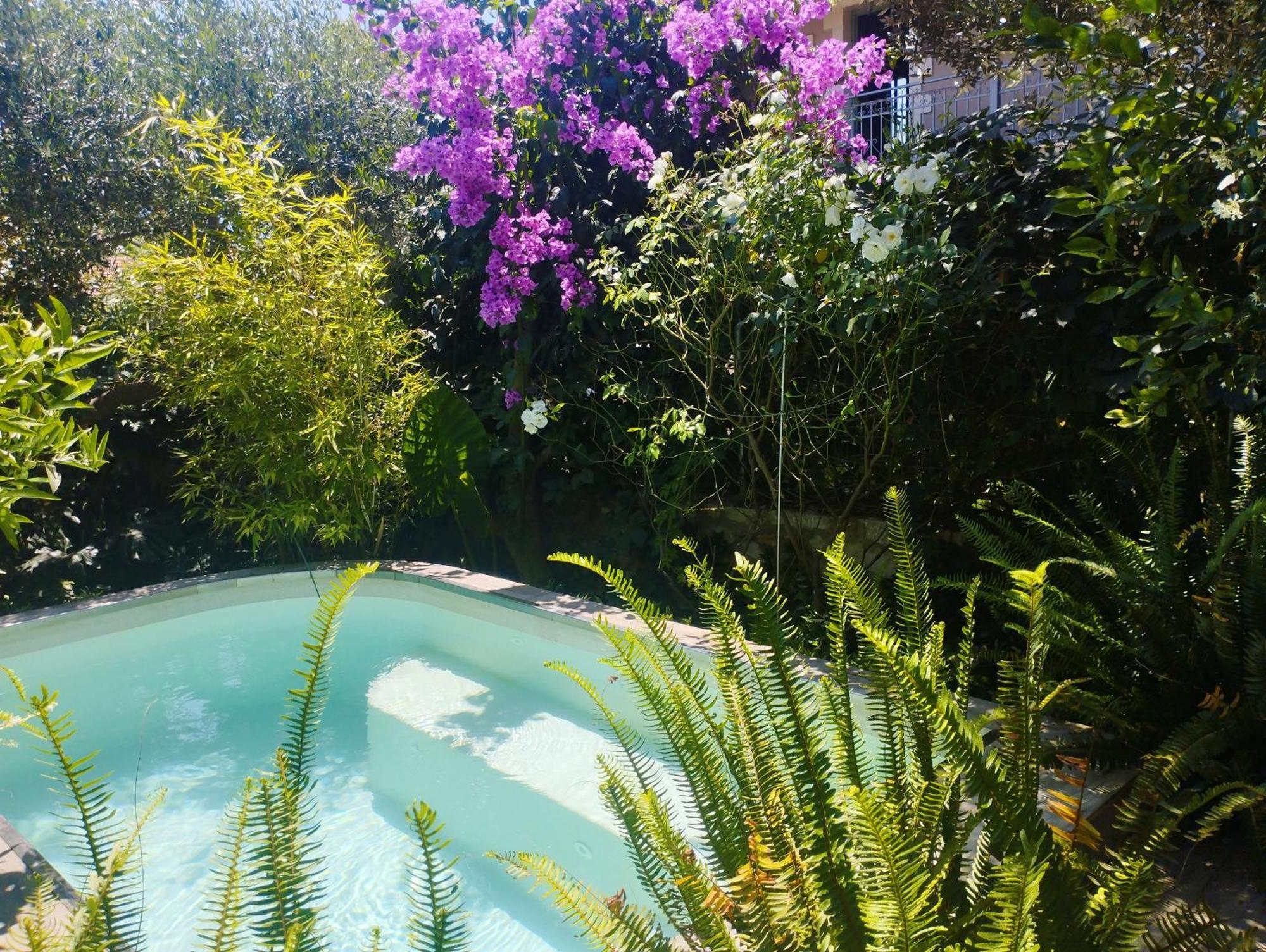Olive Lemon Biophilic House & Lush Forest Garden فاموس المظهر الخارجي الصورة