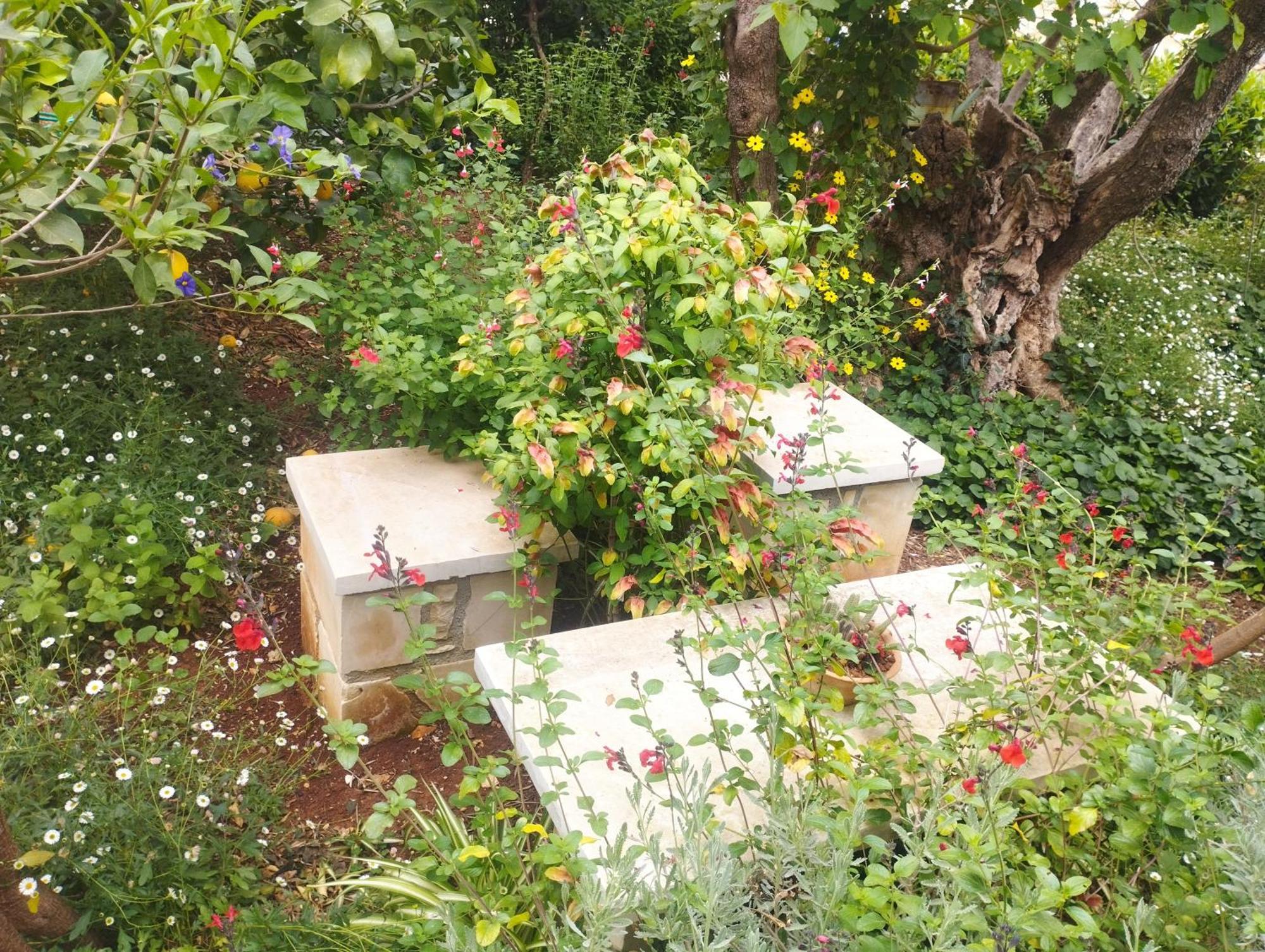 Olive Lemon Biophilic House & Lush Forest Garden فاموس المظهر الخارجي الصورة