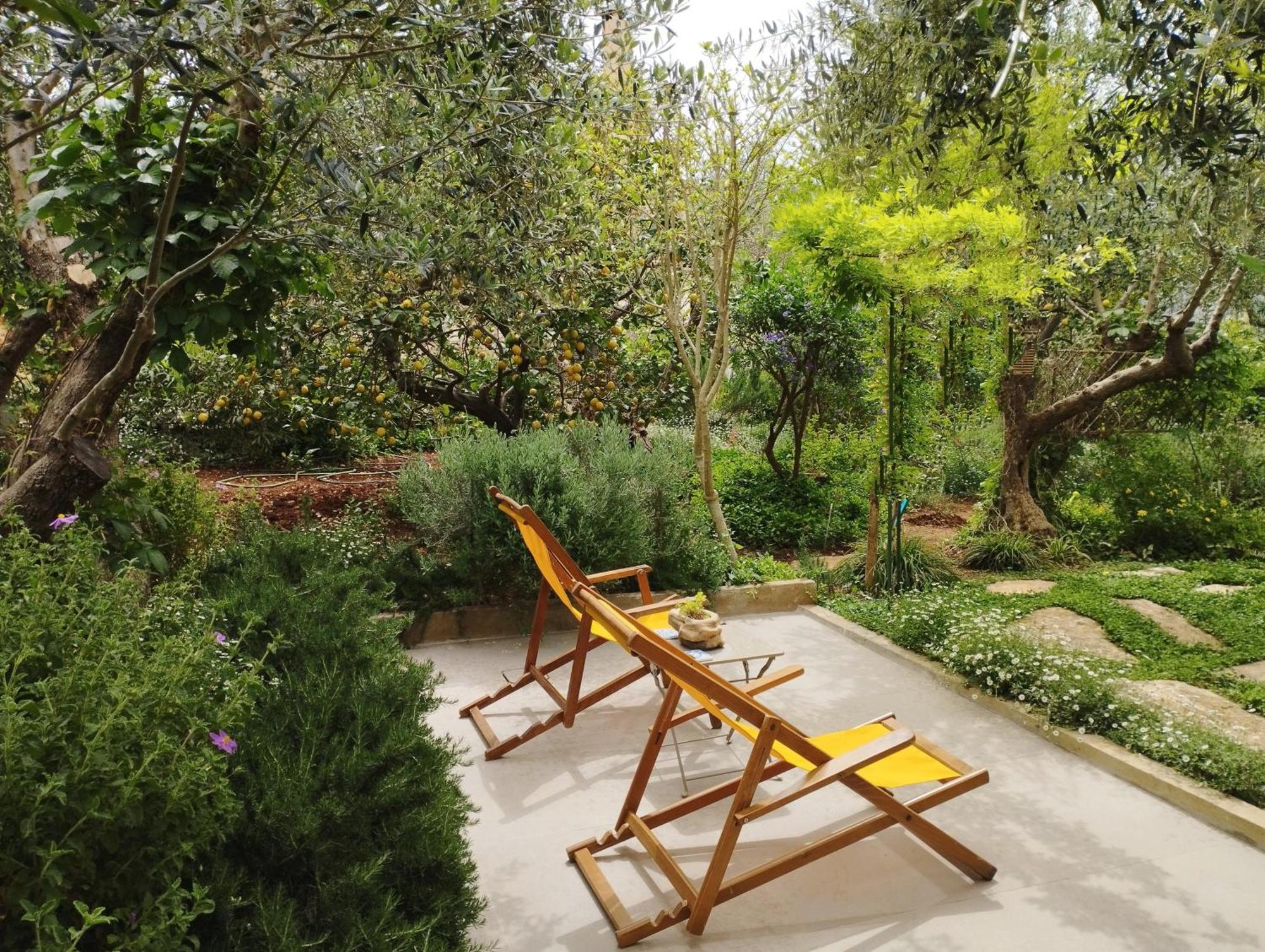 Olive Lemon Biophilic House & Lush Forest Garden فاموس الغرفة الصورة
